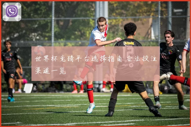 世界杯竞猜平台选择指南 合法投注渠道一览