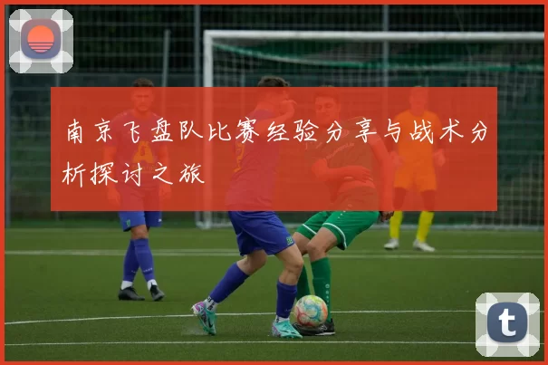 南京飞盘队比赛经验分享与战术分析探讨之旅