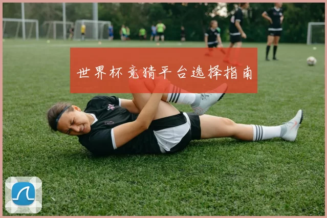 世界杯竞猜平台选择指南