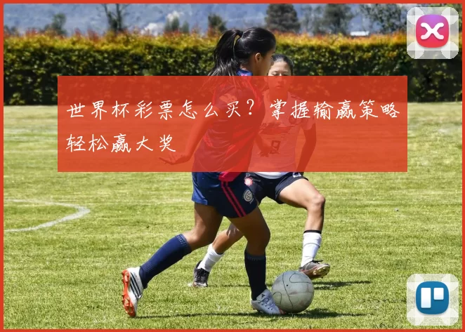 世界杯彩票怎么买？掌握输赢策略轻松赢大奖