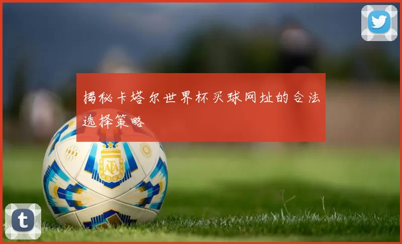 揭秘卡塔尔世界杯买球网址的合法选择策略