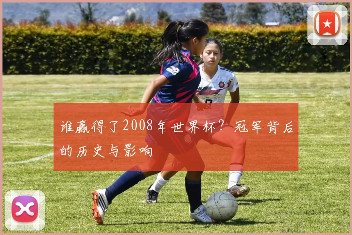 谁赢得了2008年世界杯?冠军背后的历史与影响