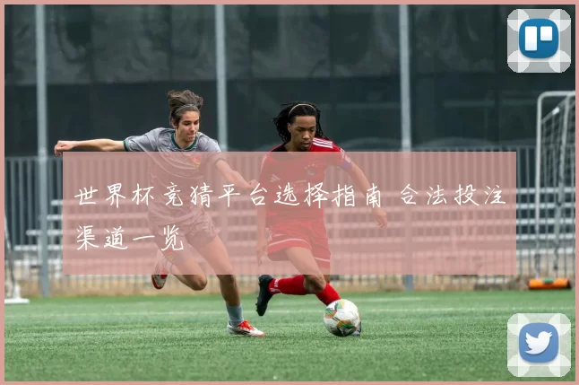 世界杯竞猜平台选择指南 合法投注渠道一览