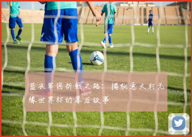 蓝衣军团折戟之路:揭秘意大利无缘世界杯的幕后故事