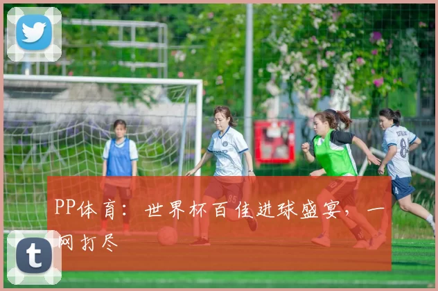 PP体育：世界杯百佳进球盛宴，一网打尽