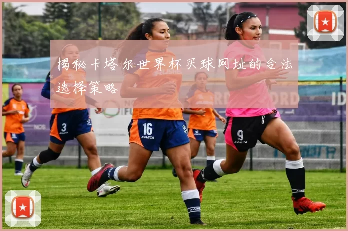 揭秘卡塔尔世界杯买球网址的合法选择策略