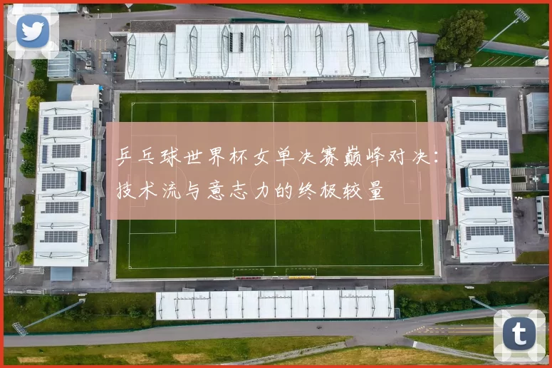 乒乓球世界杯女单决赛巅峰对决:技术流与意志力的终极较量